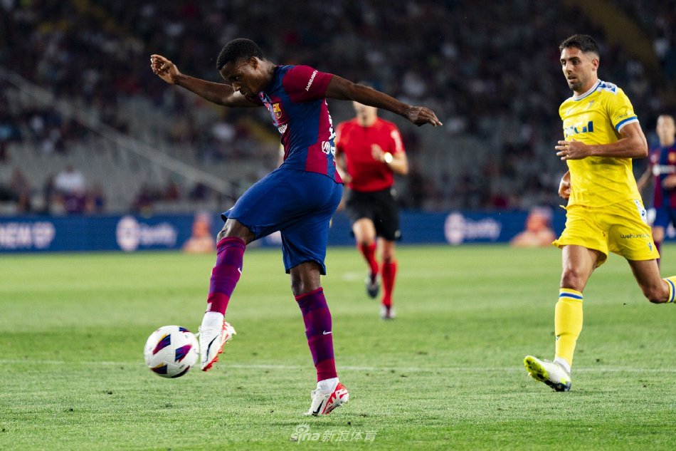 活力和可能 活力和可能